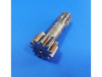 : fejléc fényképe