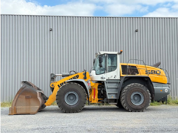 Gumikerekes homlokrakodó LIEBHERR L 580