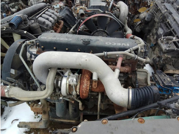Motor IVECO Stralis