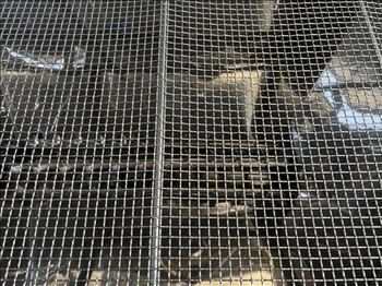 Szállítószalag NNP Hopper and elevator screw conveyor: 5 kép. Szállítószalag NNP Hopper and elevator screw conveyor: 5 kép.