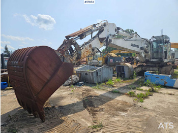 Lánctalpas kotró LIEBHERR R 954