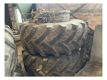 : fejléc fényképe