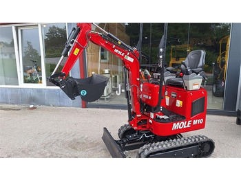 : fejléc fényképe