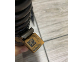 : fejléc fényképe