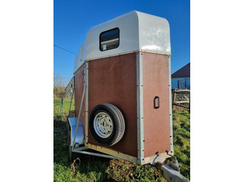 : fejléc fényképe