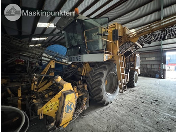 : fejléc fényképe