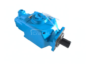 : fejléc fényképe