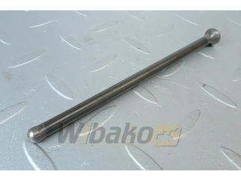 : fejléc fényképe