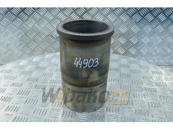 : fejléc fényképe