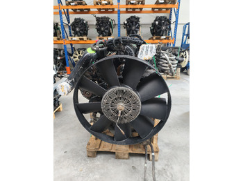 : fejléc fényképe