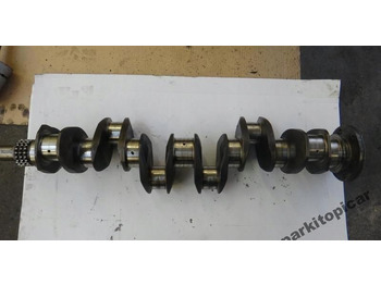 : fejléc fényképe