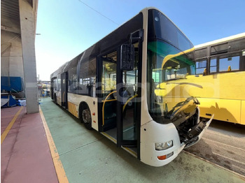 Városi busz MAN Lion's City