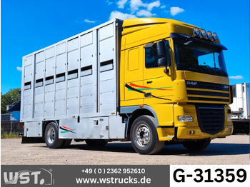 Lószállító kamion DAF XF