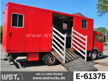 Lószállító kamion MERCEDES-BENZ