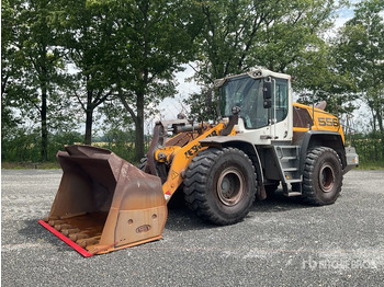 Gumikerekes homlokrakodó LIEBHERR L 556