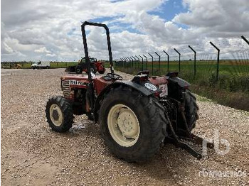 Traktor FIAT 70-66 FRUTERO: 2 kép.