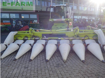 Takarmánybetakarító gép CLAAS