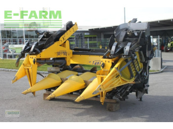 : fejléc fényképe