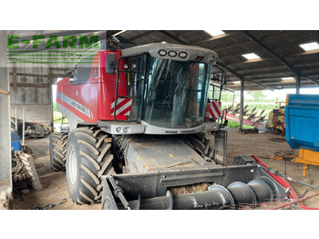 Kombájn Massey Ferguson beta 7370 pl: 3 kép.