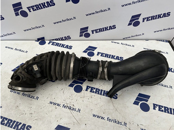 : fejléc fényképe