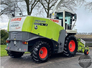 Önjáró szecskázógép Claas Jaguar 830 492: 4 kép.