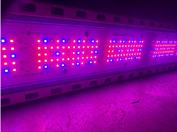 Mezőgazdasági gépek Hortilux HortiLed Top 120v19: 2 kép.