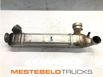 Kipufogórendszer DAF