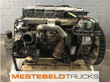 : fejléc fényképe