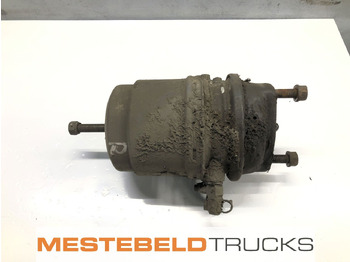 : fejléc fényképe