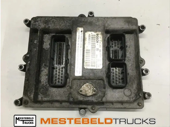 : fejléc fényképe