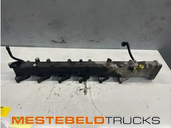 : fejléc fényképe