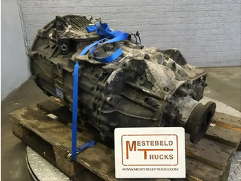 : fejléc fényképe