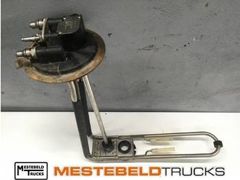 : fejléc fényképe