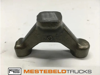 : fejléc fényképe