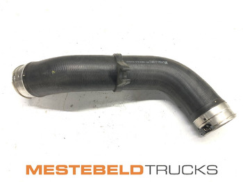 : fejléc fényképe