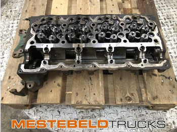 : fejléc fényképe