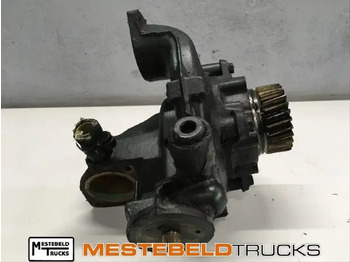 : fejléc fényképe