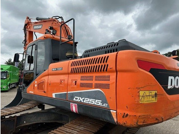 Doosan DX 255 LC-5/Schnellwechsel System/Rototilt R8  lízing Doosan DX 255 LC-5/Schnellwechsel System/Rototilt R8: 3 kép.