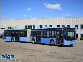 Csuklós busz MAN Lion's City