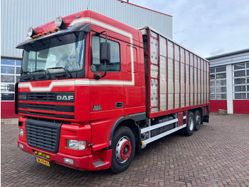 Állatszállító teherautó DAF XF 95 380