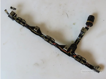 : fejléc fényképe