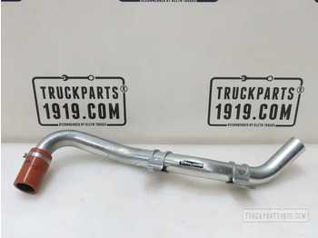 : fejléc fényképe