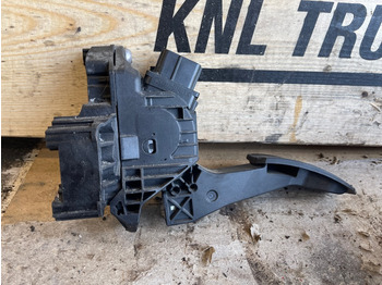 Fülke és belső tér MAN