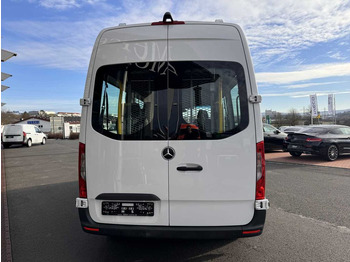 Minibusz, Kisbusz Mercedes-Benz Sprinter 316 CDI Rollstuhl-/Behinderten-Lift AMF: 5 kép.