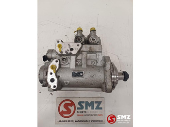 : fejléc fényképe