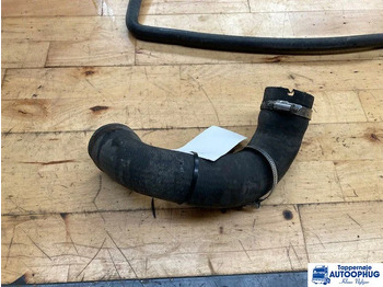 : fejléc fényképe