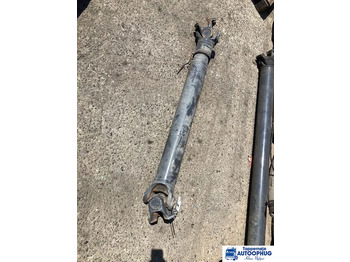 : fejléc fényképe