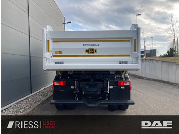Új Billenőplatós teherautó DAF XFc 480 FAT 6x4 Intarder Bordmatik Trigenius: 5 kép.
