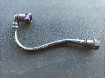 : fejléc fényképe