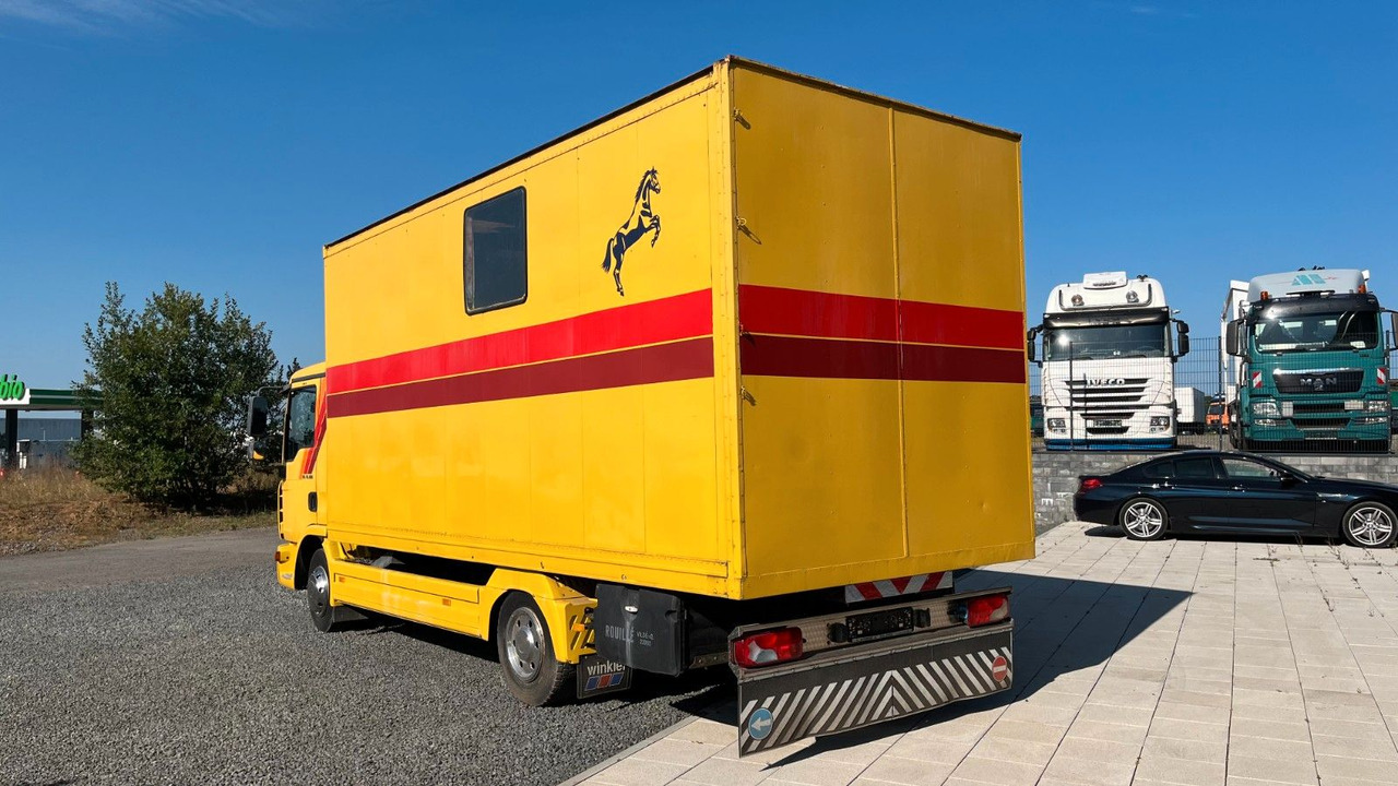 MAN TGL 10.180 Euro 4  Pferdetransporter Horse MAN TGL 10.180 Euro 4  Pferdetransporter Horse - Lószállító kamion: 5 kép. MAN TGL 10.180 Euro 4  Pferdetransporter Horse MAN TGL 10.180 Euro 4  Pferdetransporter Horse - Lószállító kamion: 5 kép.